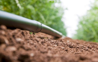 A picture of a drip irrigation line with water dropping out of it onto dirt and plants in the background.