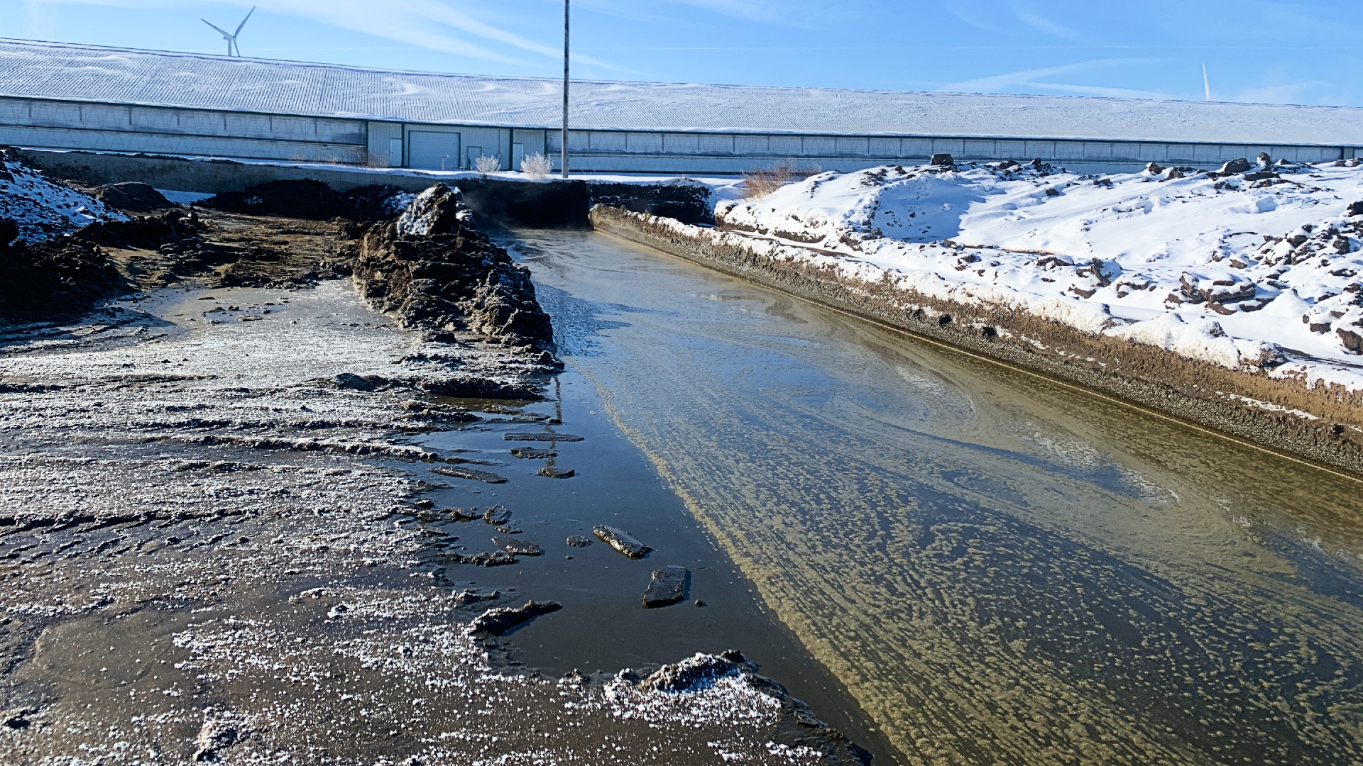 Liquid manure streaming out of a dairy barn in winter.