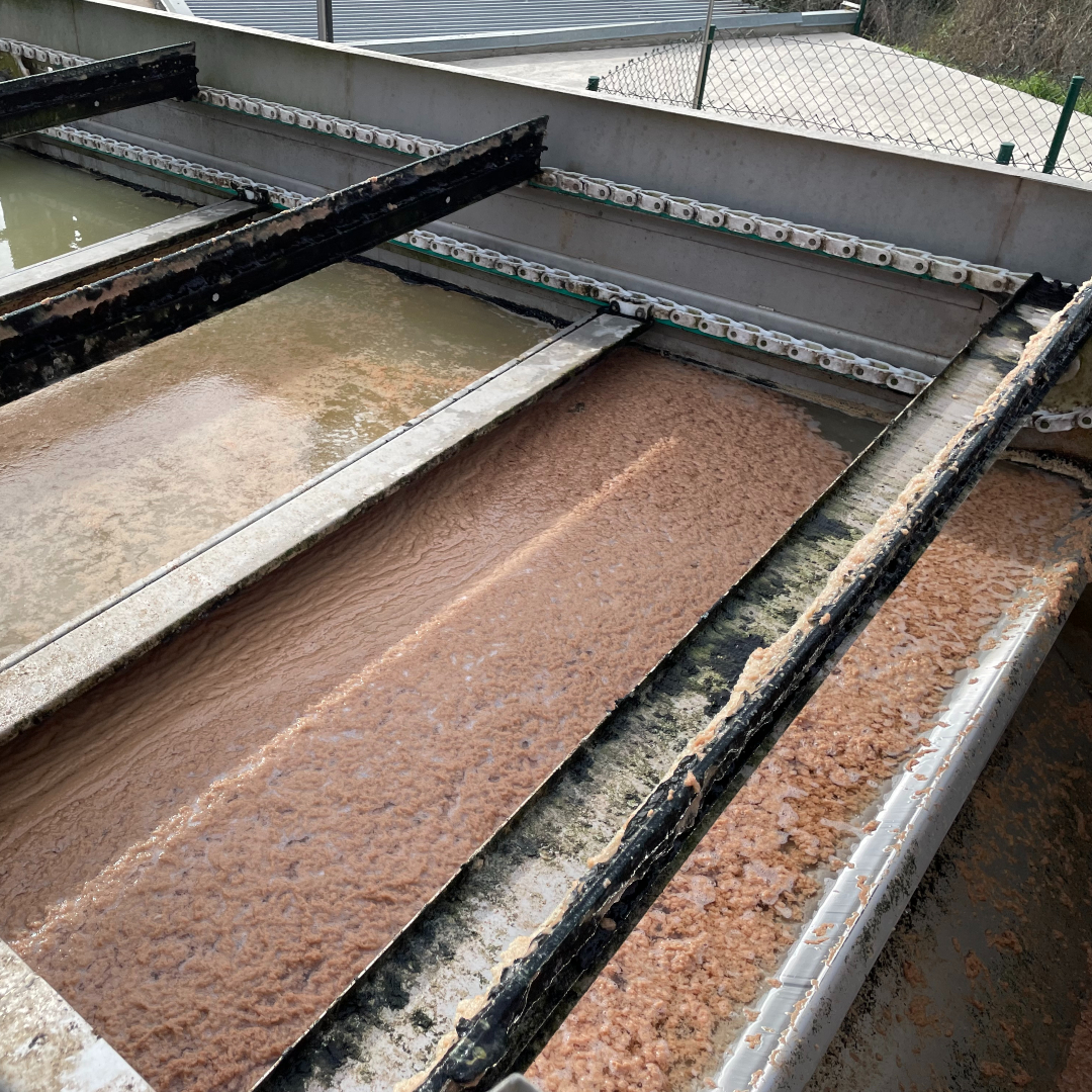 Food sludge floating on top of the water in a dissolved air flotation clarifier.
