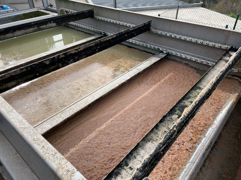 Meat chunks floating on top of a rectangular clarifier as they're skimmed off as a wastewater treatment process for the meat processing industry.